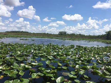 Everglades Holiday Park Fort Lauderdale 2019 All You Need To Know