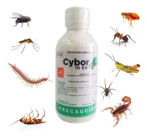 Cybor Ea Insecticida Ml Plagas Urbanas Insectos Env O Gratis