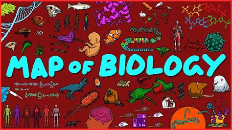 The Map Of Biology Is A Great Way To Learn About The Science Behind The