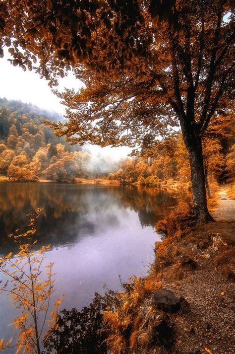 Осенних дней очарованье Autumn Scenery Nature Photography Beautiful