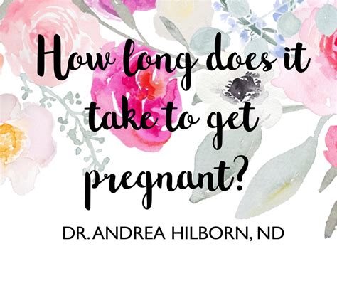 How Long Does It Take To Get Pregnant Dr Andrea Hilborn Nd
