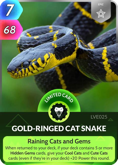 Gold Ringed Cat Snake