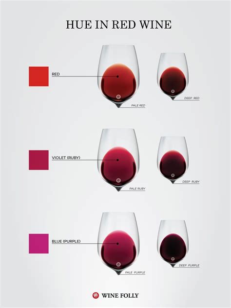 What Color Tells You In Red Wine Wine 101 Wine Guide Malbec Purple