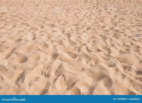 Sand Texture Pattern Beach Sandy Background Stock Photo Image Of