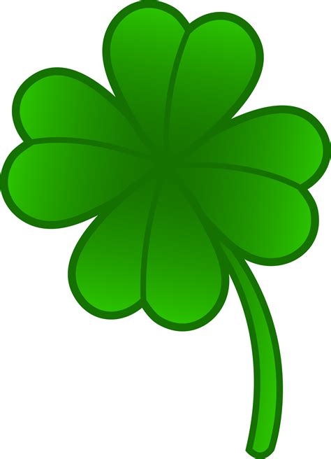 Picture Of Four Leaf Clover