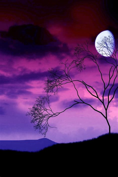 800x1200 Wallpaper Moon Night Sky Lilac Tree Bush Branches
