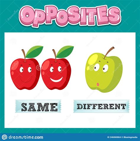 Opposite English Words With Same And Different Stock Vector