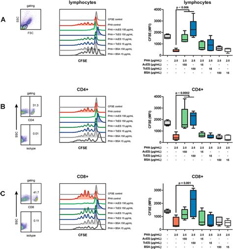 t cell proliferation assay cultivating cfse stained pbmcs in the download scientific diagram