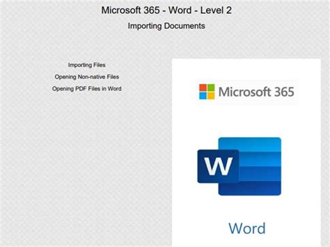 Microsoft 365 Word Level 2 Qintil