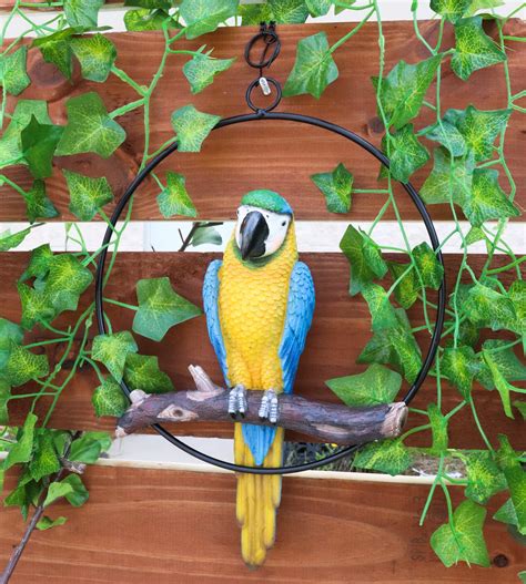 10 Best Macaw Bird Statues For Your Home Decor Hummingbirds Plus