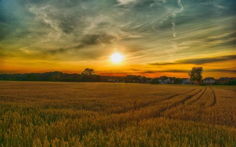 Download 3840x2400 Wallpaper Summer Sunset Farm