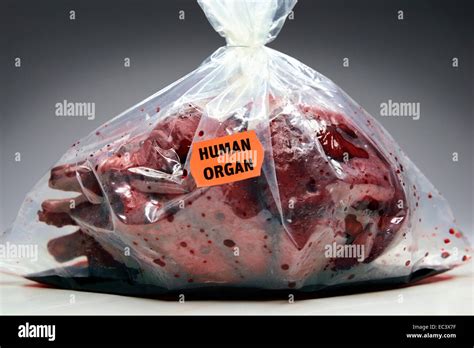 Human Heart With Price Label Organ Donation Stock Photo Alamy
