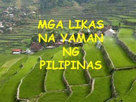 Likas Na Yaman Ng Pilipinas