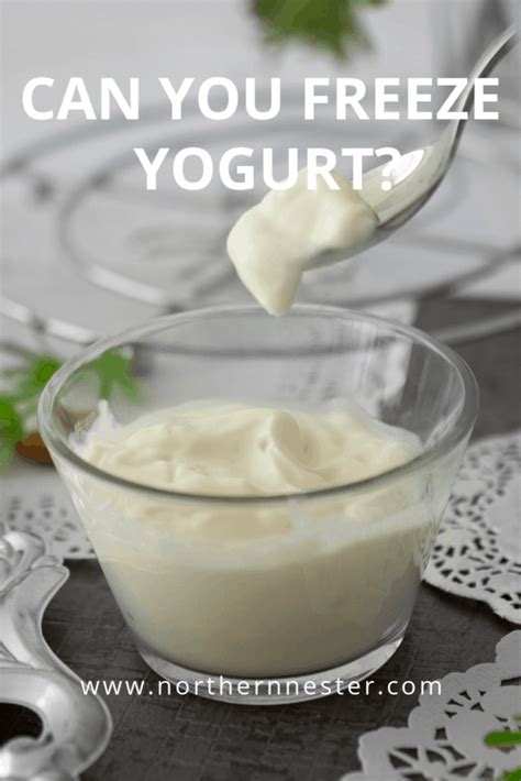 Can You Freeze Yogurt Northern Nester