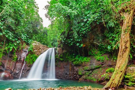 Waterfall In The Caribbean Rainforest Foto And Bild Landschaft Fotos