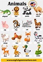 Таблица types of animals