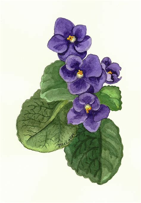 African Violets Painting By Brad Mclean Pixels