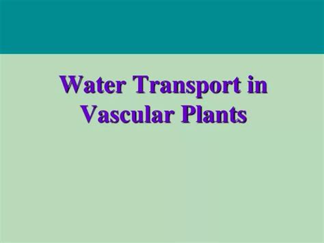 Ppt Water Transport In Vascular Plants Powerpoint Presentation Free