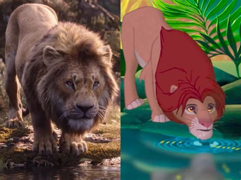 The Lion King Remake Versus Original Side By Side Photos Vlrengbr