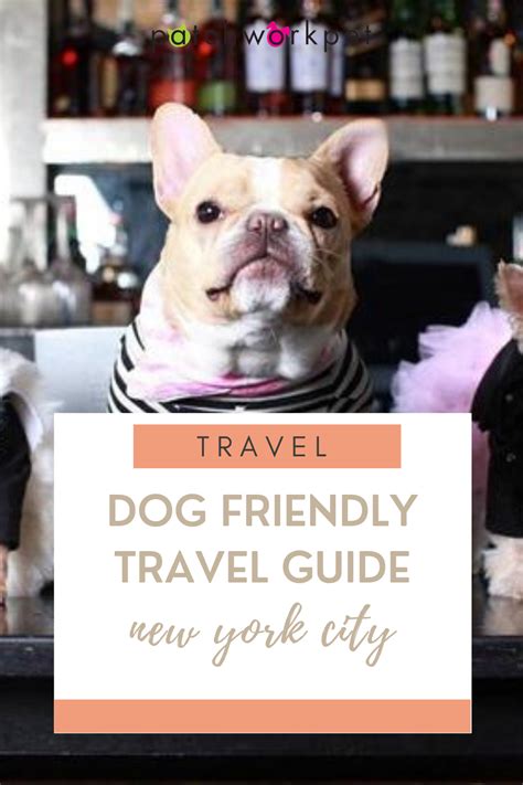 A Dog Friendly Travel Guide To New York City In 2020 Dog Friends Dog
