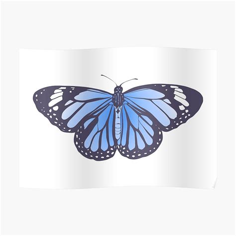 Blue butterfly flying png download transparent background. Blue Monarch Butterfly Aesthetic - Butterfly grove ~ each year thousands of vibrant orange and ...
