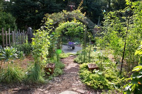 Use Cattle Panels As A Trellis 3 Ways To Use Cattle Panel Fencing In