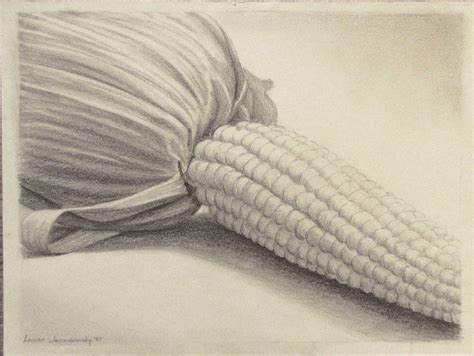 Original Pencil Drawing By L Jacoubowsky Corn Cob Pencil Drawings