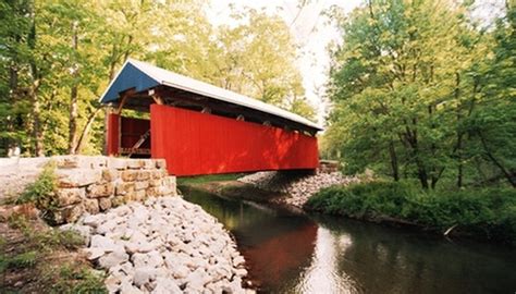 Maybe you would like to learn more about one of these? Wild Edible Plants in Ohio | Garden Guides