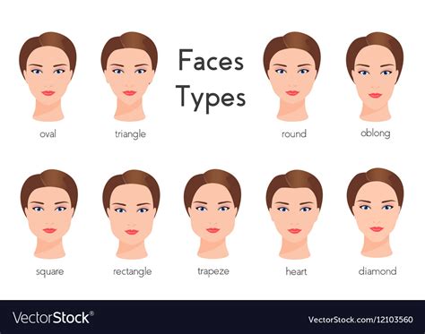 Set Of Different Woman Face Types Female Face Vector Image