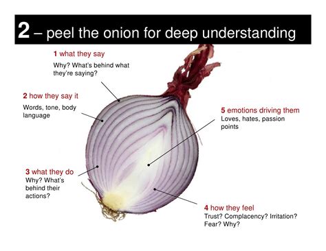 Onion Mode Jpeg