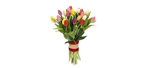 Bouquet Of 25 Colourful Tulips Ferns N Petals Flowers Ting Made