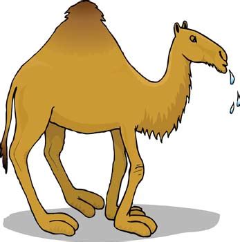 Copy the html from the code box Free Camel Cartoon Pictures, Download Free Clip Art, Free ...
