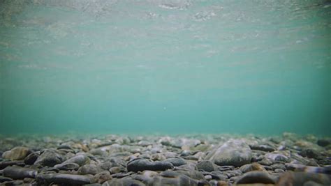 Underwater Footage Of A Super Clear River Bottom Stock Footage Video