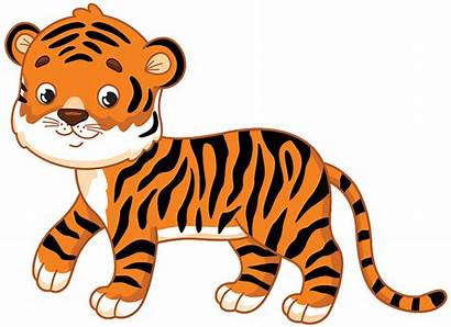 Clipart Tiger Tigers Animals Clip Cartoon Cliparts