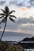Visit Wahiawa: 2023 Travel Guide for Wahiawa, Hawaii | Expedia