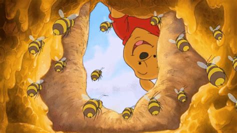 Winnie The Pooh And Bees  Pinterest We Heart It Animated S