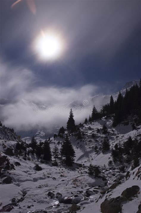 Luna Piena Sopra Le Montagne Fotografia Stock Immagine Di Foresta