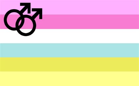 Mlm Flag With Trans Insert Queervexillology