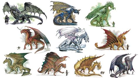 Dnd 5e Dragon Types