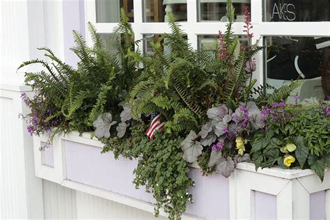 Window Box Inspiration In All Shapes And Sizes The Impatient Gardener