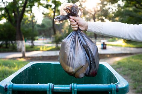 Throw The Garbage Bag Into The Trash Can Stock Photo Download Image