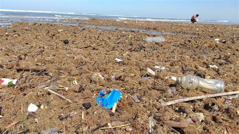 praia do litoral de sp amanhece suja apesar da proibição de banhistas santos e região g1