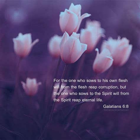 Consider these verses as you think about abortion and what god would say about the importance and how he views a fetus #flowers#bible verse#scripture#galatians 6:8#christian ...