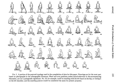 If You Sit All Day How Frequently Should You Stretch Rflexibility