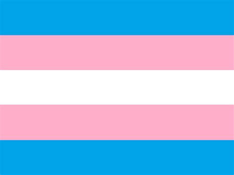 25 Bästa Trans Pride Flag Idéerna På Pinterest Gay Pride Lgbt Och