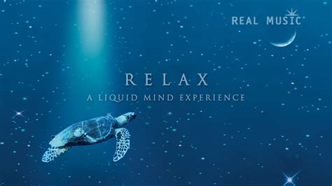 Free Download Liquid Mind Chuck Wild Relaxation Music Free Wallpapers