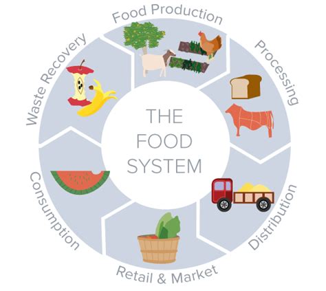 Regional Food Systems Sustainable Agriculture Research And Education
