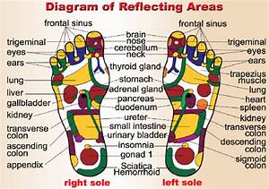 Traditional Chinese Medicine Feet Chart Rosan Cruz Urban Energy Healer