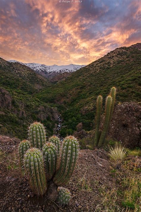 Volcanic breccia created from years of lava flows sculpted spires and turrets forming the absaroka mountains. Reserva Río Clarillo. | Lugares hermosos, Paisajes, Fondos ...