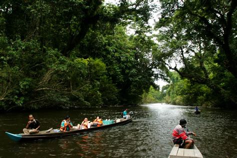 With 4343 square kilometers it is the biggest national park in malaysia, spread out over three states at peninsular malaysia; About Jerantut, Pahang